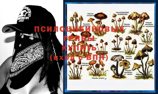 альфа пвп Верея