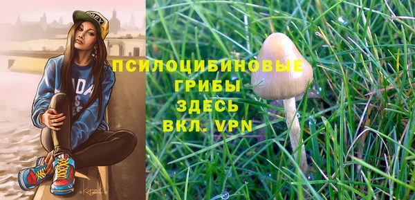 гидра Верхнеуральск