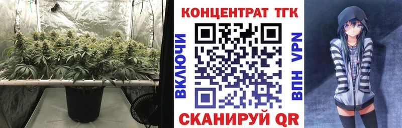 Дистиллят ТГК Wax  Купить  Белоусово 